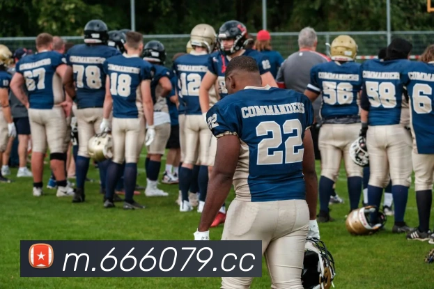 APP界面展示